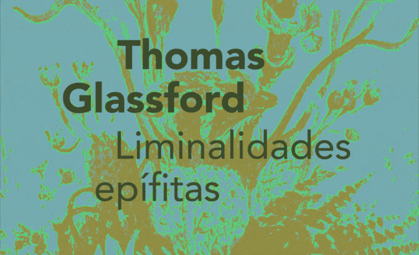 El Museo Kaluz presenta "Liminalidades epífitas", una instalación monumental de Thomas Glassford