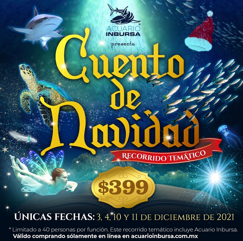 El Acuario Inbursa recibe la Navidad 