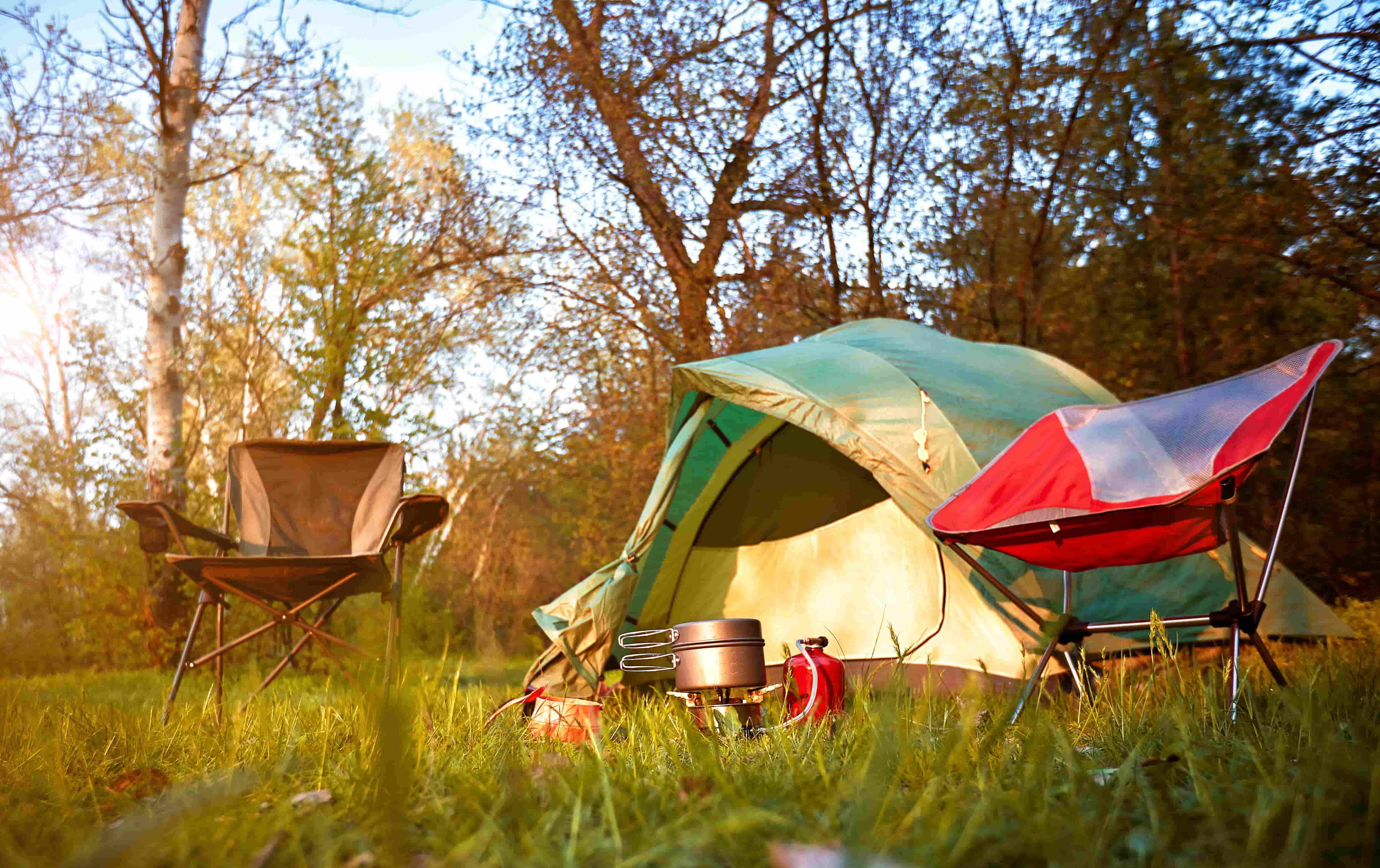 Respira aire fresco y duerme entre árboles