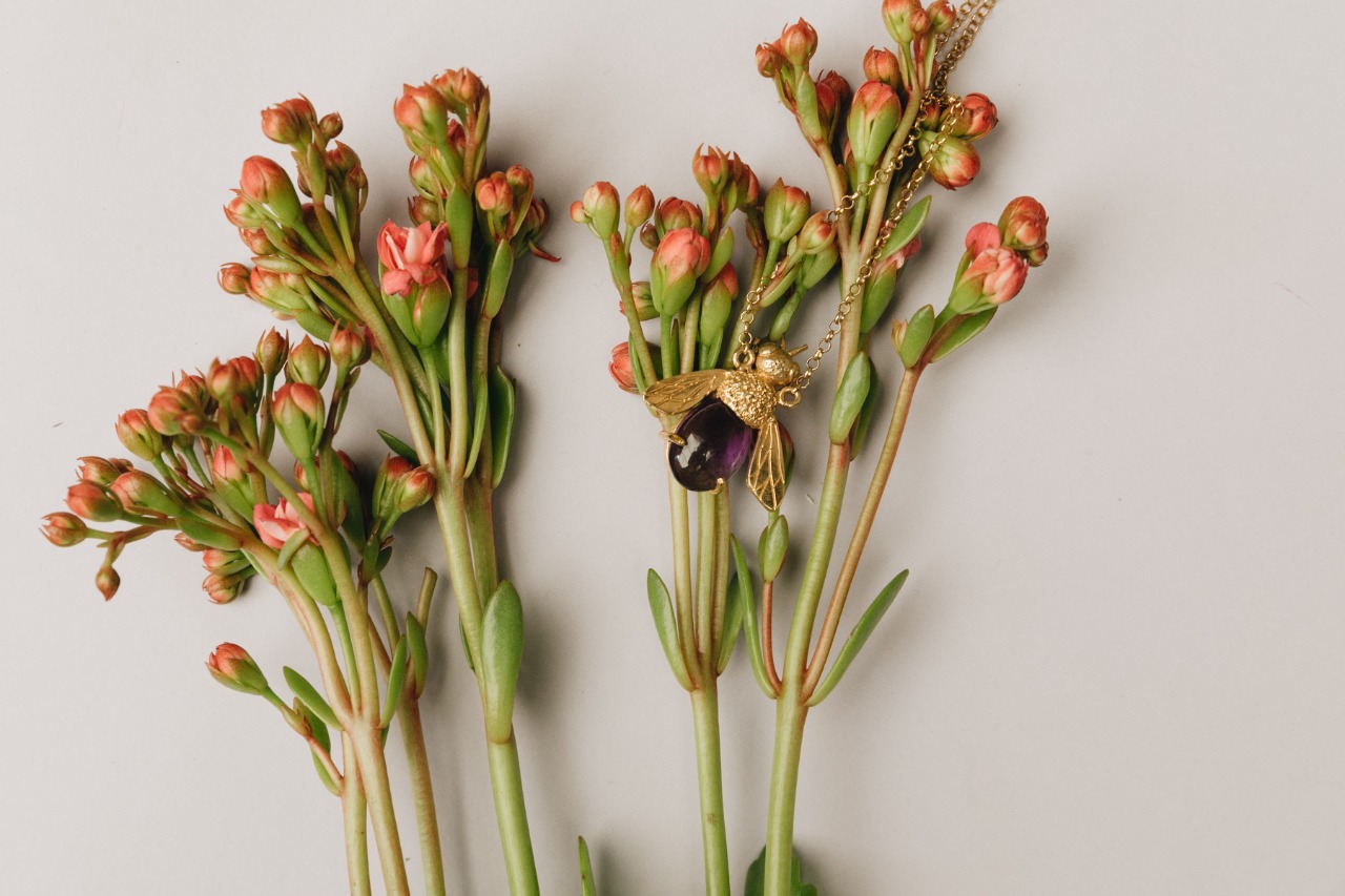 Sangre de mi sangre prepara nueva colección basada en el mito del eterno retorno