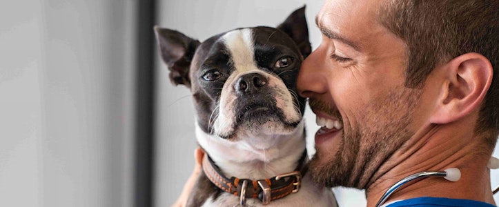 ¿Tu mascota te quiere? Conoce más a tu “lomito”