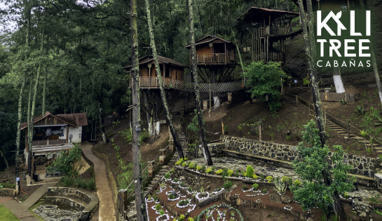KALI TREE CABAÑAS - 10% de descuento en Hospedaje.