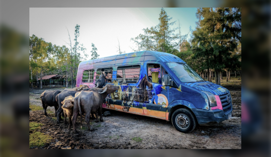 MUNDO GRANJERO / 30% de descuento exclusivo en la entrada al parque