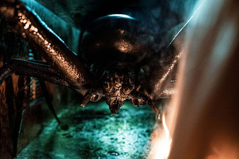 El regreso del terror arácnido… 5 razones para ver "Sting: araña asesina"