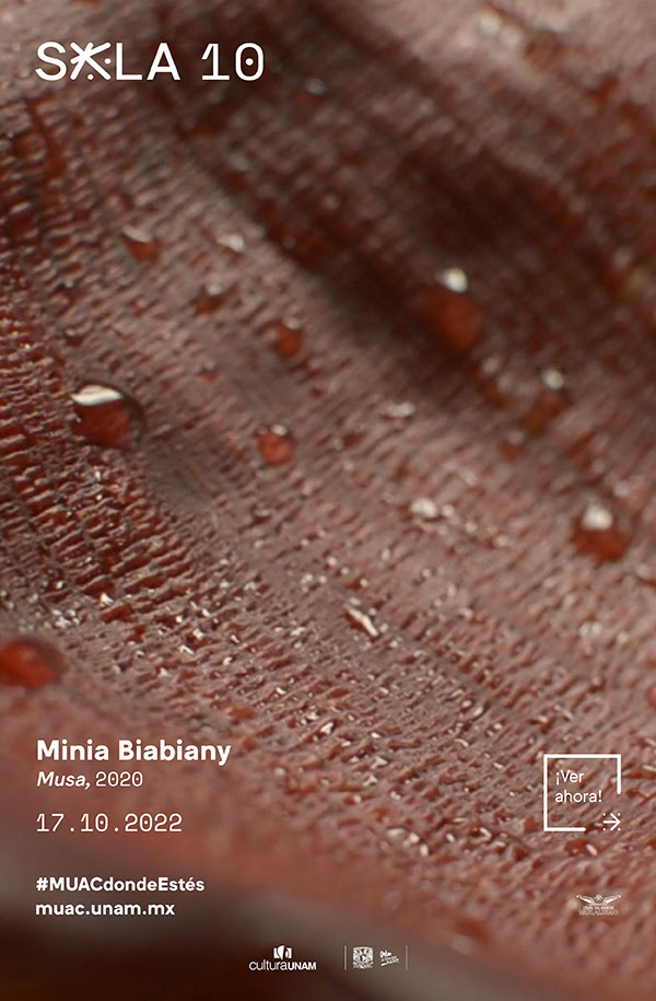 El MUAC exhibe en su sala virtual Musa de Minia Biabiany