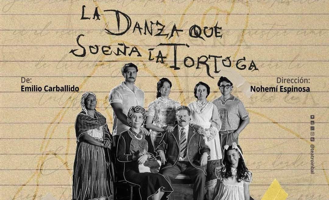 "La danza que sueña la tortuga": un universo doméstico que respira poesía