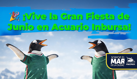 Acuario Inbursa - Precio Especial en tu paquete Acuario Inbursa + Acuario Interactivo.