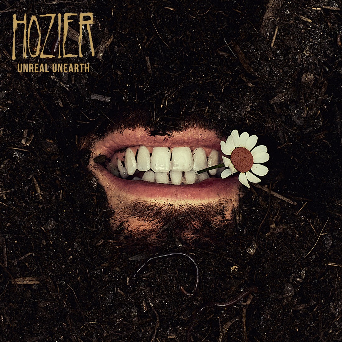 Hozier lanza "Unknown / Nth" como parte de su próximo álbum, "Unreal Unearth"