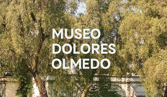 Museo Dolores Olmedo