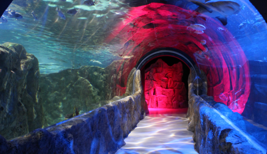 SEA LAND, Acuarioventura León - 30% de descuento en Acceso General