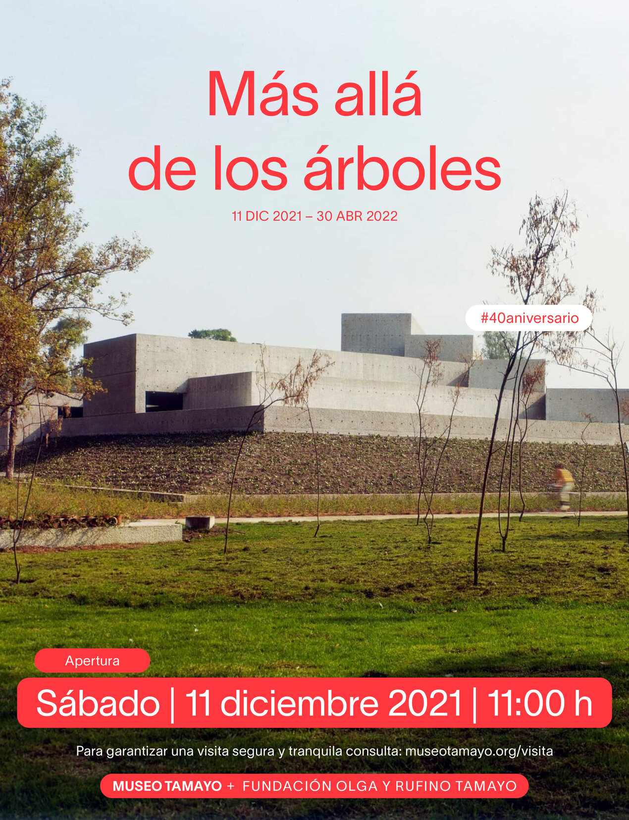 Museo Tamayo - Reapertura: "Más allá de los árboles"