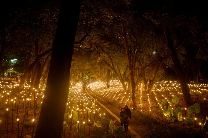 Rafael Lozano-Hemmer transforma el Museo de Arte Moderno con "Jardín inconcluso"