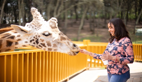 BIOPARQUE /  30% de descuento sobre Pasaporte Bioparque