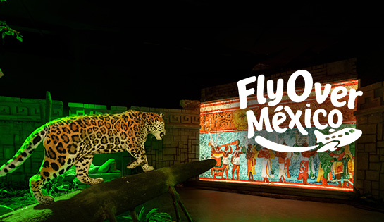 Fly Over México - En Exclusiva 15% de descuento en tu pase Turístico VIP