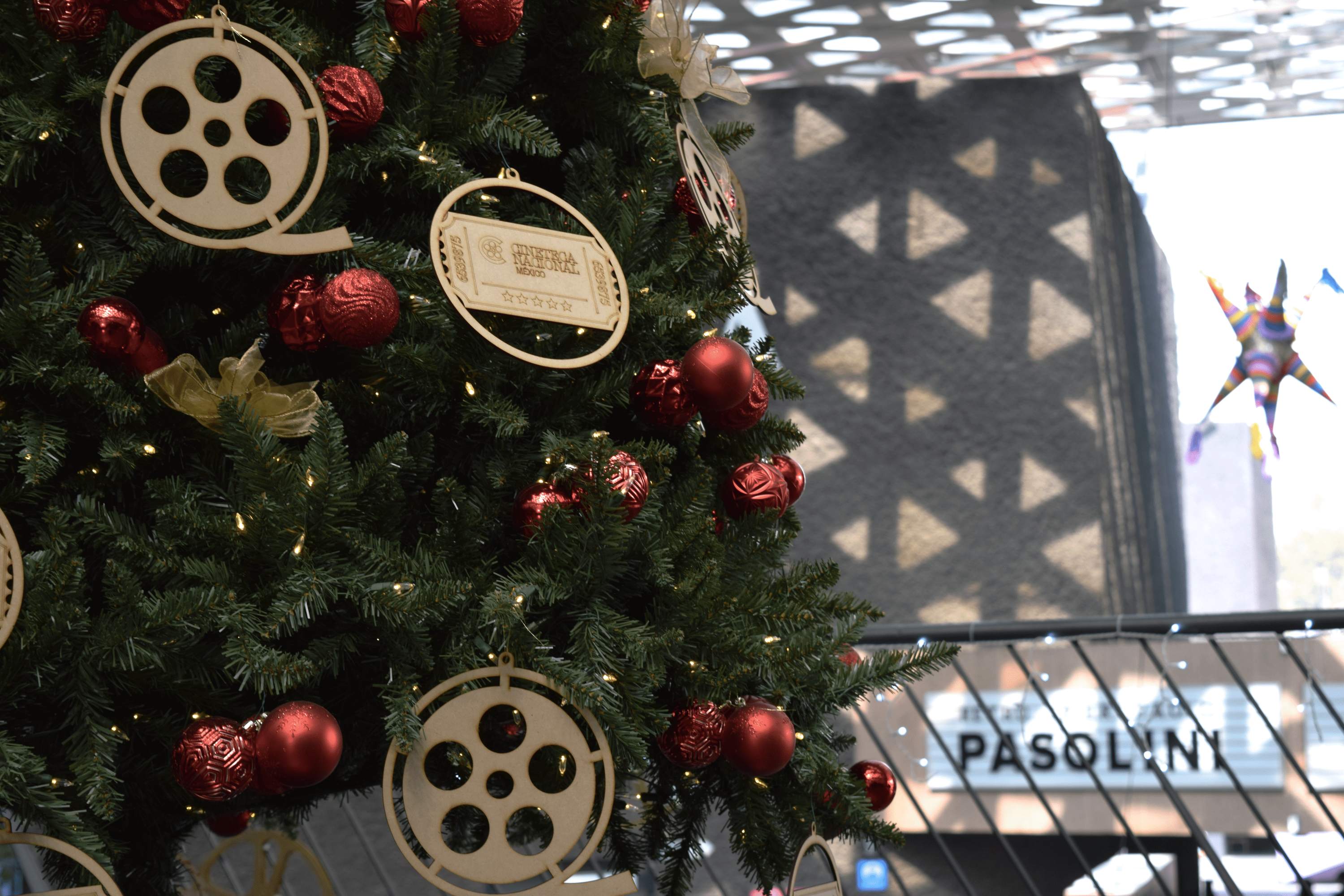 La Cineteca Nacional impulsó el retorno a las salas de exhibición durante 2022