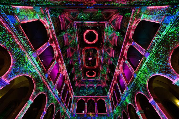 Enlightenment: La experiencia inmersiva de luz y sonido inspirada en “Las Cuatro Estaciones” de Vivaldi llega a la Ciudad de México