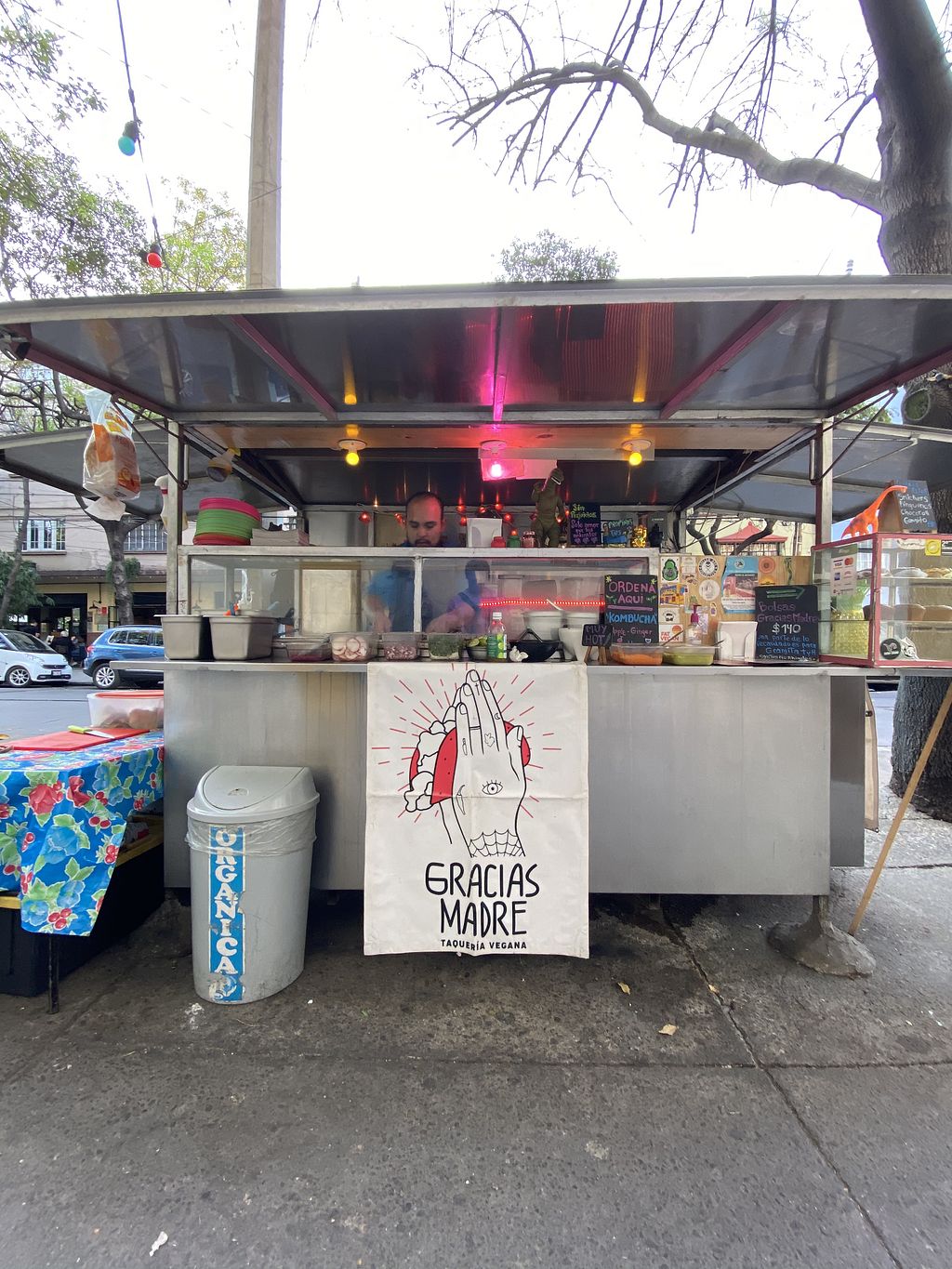 De taquitos a taquerías veganas imperdibles