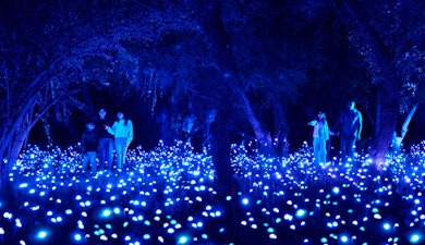 "Light Cycles", la experiencia multisensorial creada por Moment Factory, llega a la Ciudad de México