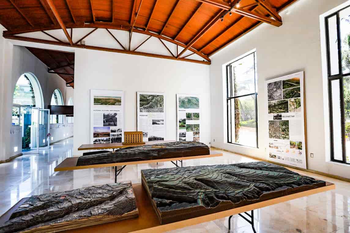 Conoce la propuesta conceptual para el Plan Maestro del Bosque de Chapultepec