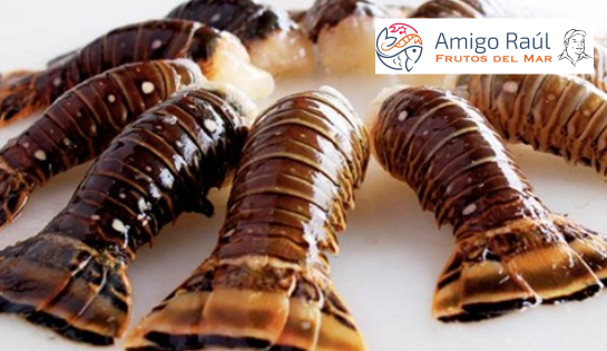 AMIGO RAÚL, FRUTOS DEL MAR - Precio Exclusivo de $1,200.00 mxn por 1 kilo en cola de langosta a domicilio