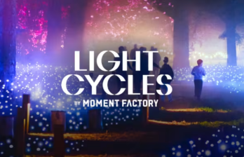 Light Cycles: ¡Una experiencia inmersiva nocturna entre luces y sonidos de la naturaleza!