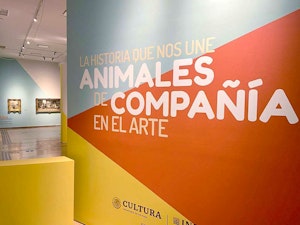 “Animales de compañía”, una exposición de arte para ir con tu mascota