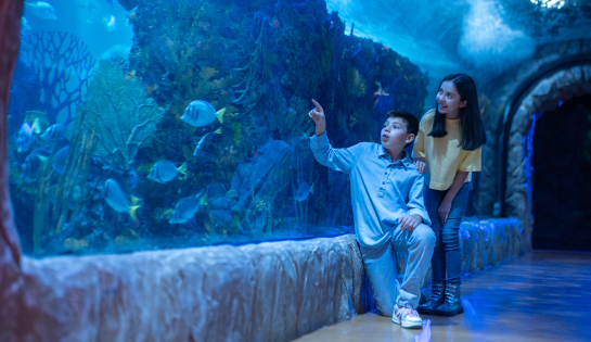 Acuario Inbursa - 15% de descuento en boleto de entrada general.