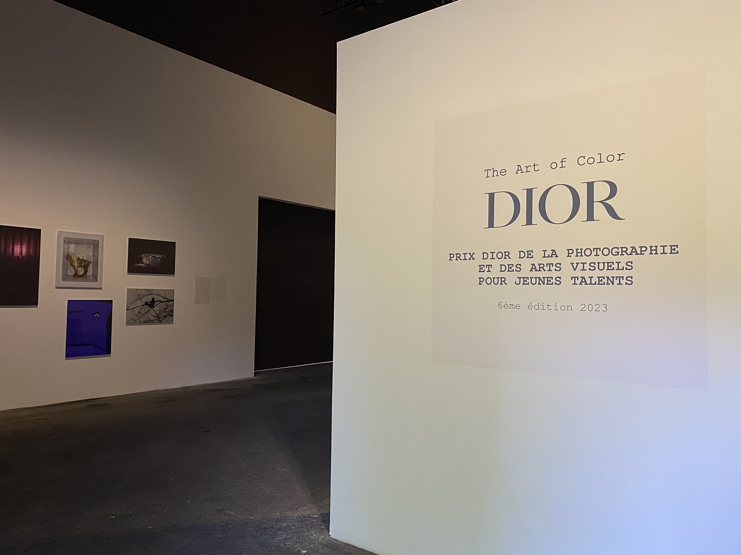 Seleccionan a alumna del Centro de la Imagen como finalista en el Dior Photography and Visual Arts Award for Young Talents 2023
