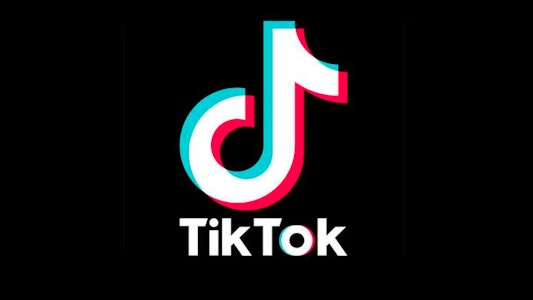 TikTok, la red social de 2020