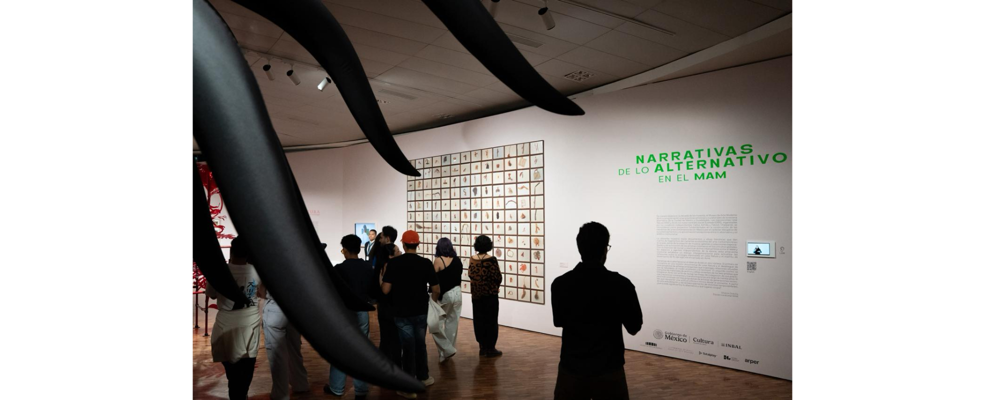 El MAM revisita dos exposiciones de los años noventa y sus preocupaciones sobre el medio ambiente