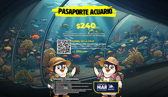 Acuario Inbursa - Precio Especial en Pasaporte Acuario por $240.00mxn