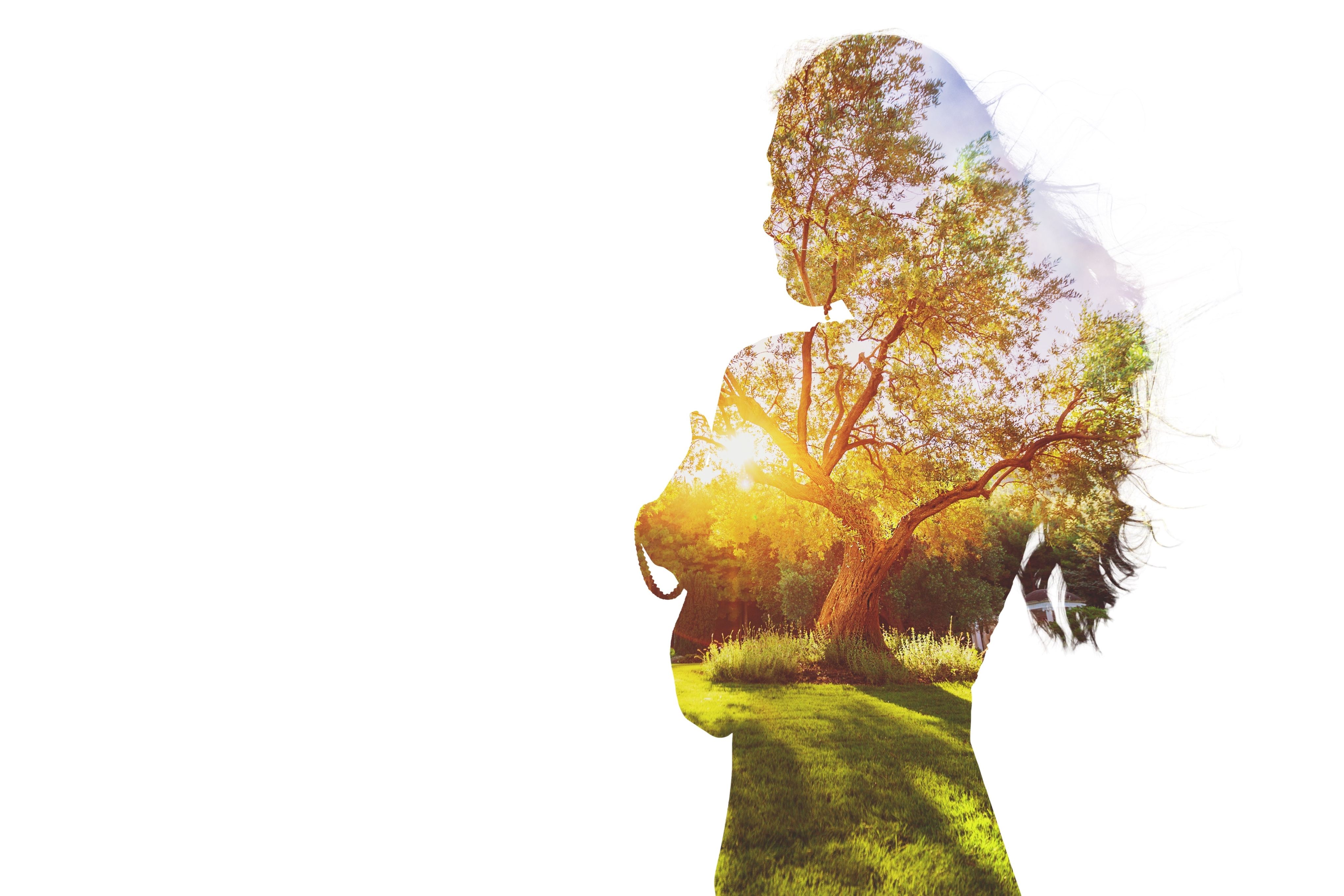 Cómo habitar el interior