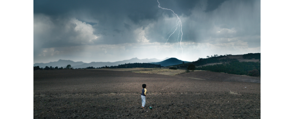 "El Eco", el documental de Tatiana Huezo recibe siete nominaciones a los Premios Ariel