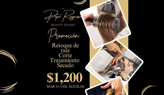 Pepe Reynoso, Beauty Studio - Retoque de Raíz, Corte, Tratamiento Secado $1,200 mxn