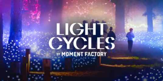 Light Cycles: ¡Una experiencia inmersiva nocturna entre luces y sonidos de la naturaleza!