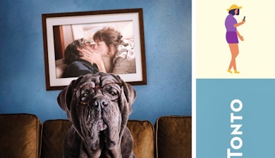 Quinto Titulo: Mi perro tonto de Yvan Attal en el 24º Tour de Cine Francés