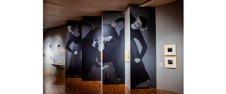 El Museo de Arte Moderno presenta la exposición “Estéticas Revueltas. Una familia de vanguardia”