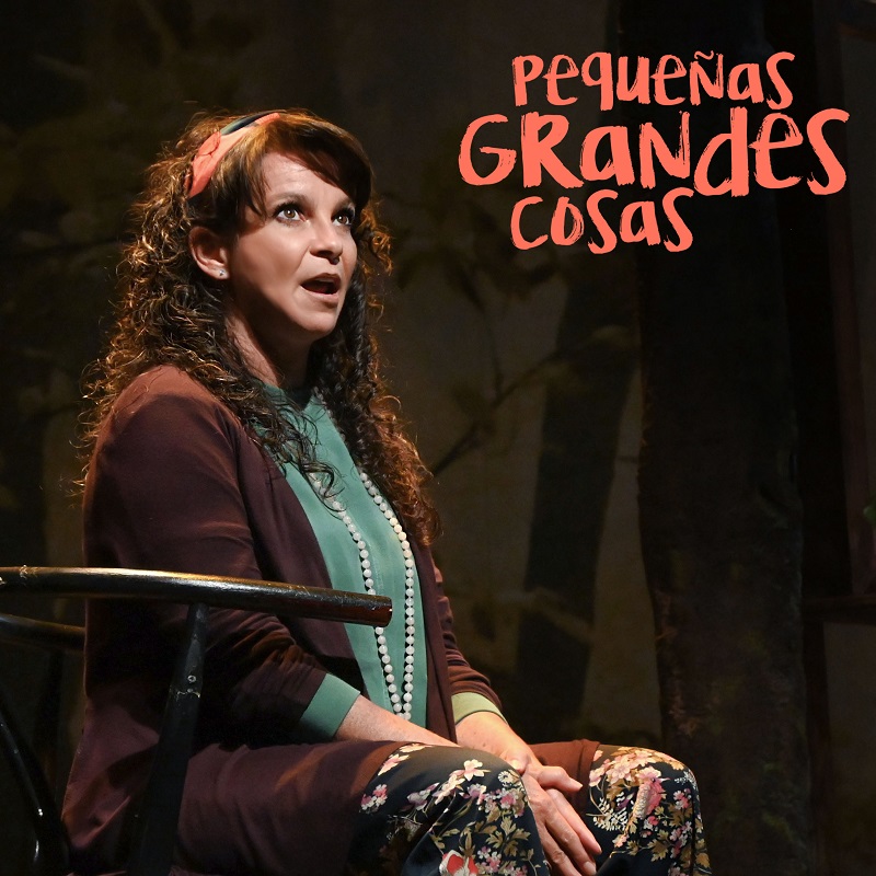 “Pequeñas grandes cosas” protagonizada por Mariana Garza 