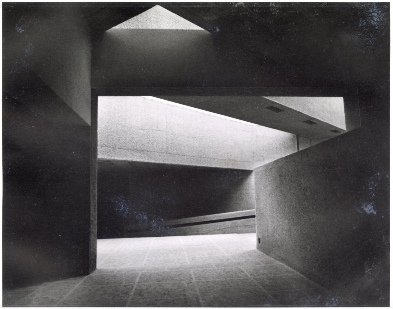 El Museo Tamayo, 41 años de exponer el arte moderno y contemporáneo de México y el mundo