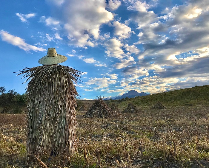Con la exposición “Guardianes del maíz” se rinde un homenaje a quienes preservan el cultivo de este cereal