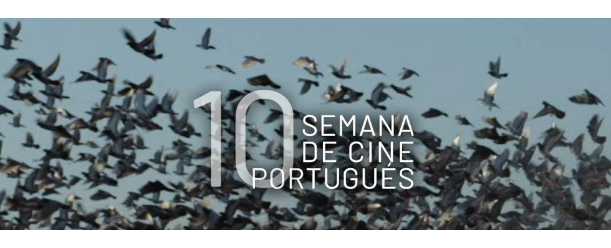 La Semana de Cine Portugués celebra 10 años en la Cineteca Nacional con una nueva muestra de cine contemporáneo