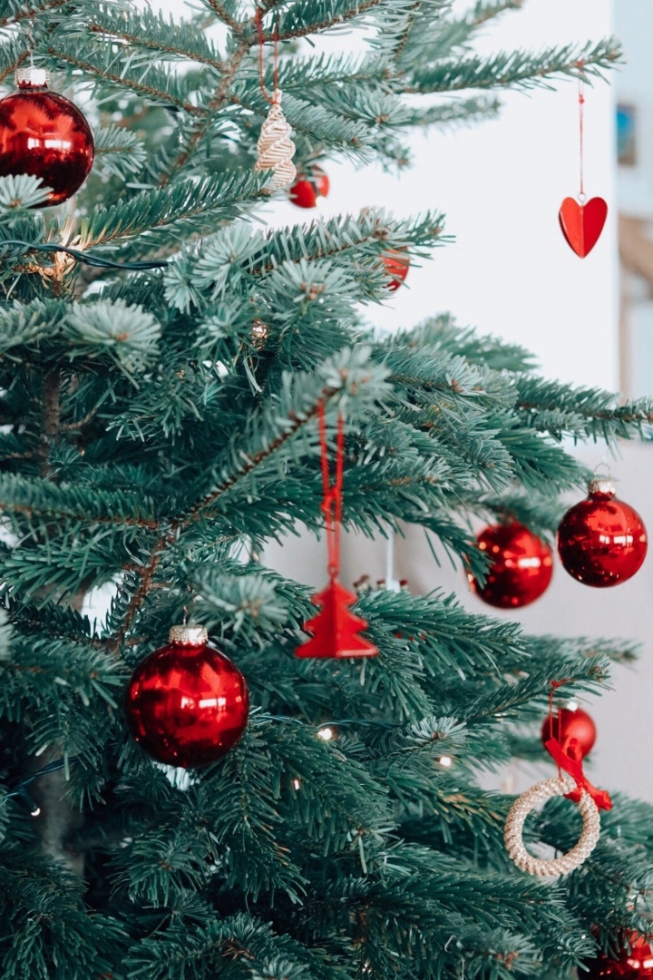 Así será la Verbena Navideña en el Zócalo 2022 