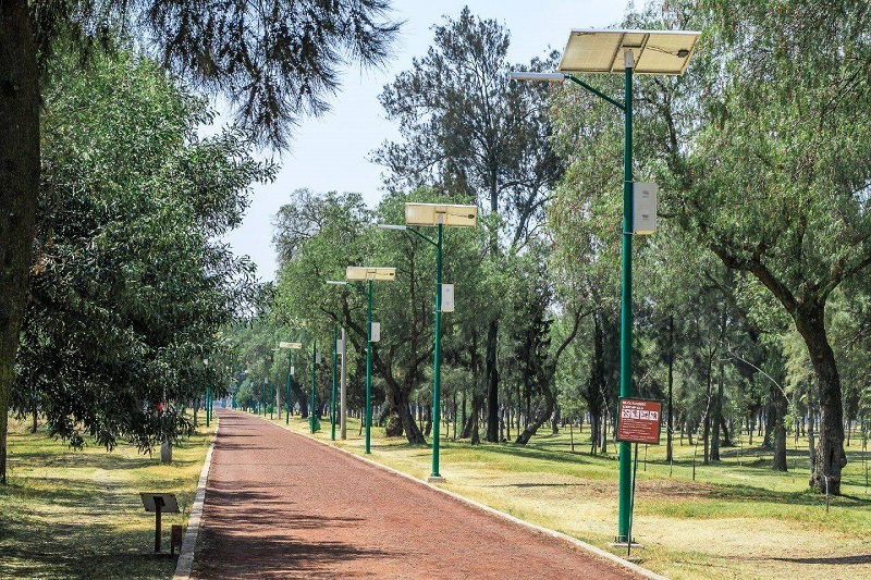 Un viaje a un bosque muy pintoresco  