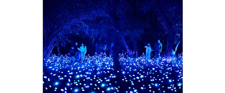 "Light Cycles", la experiencia multisensorial creada por Moment Factory, llega a la Ciudad de México