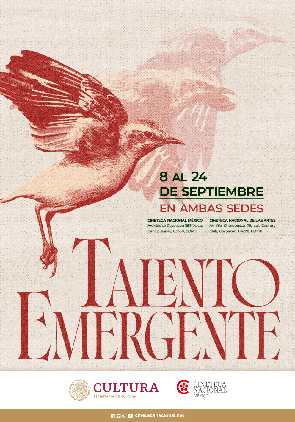 Impulsando la creación cinematográfica en el mundo, Talento Emergente llega a su 8ª edición