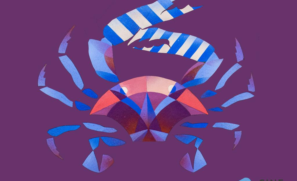 Festival de Cine Tecomán: Identidad y cultura desde la costa de Colima