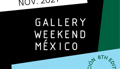 Gallery Weekend México presenta la lista de artistas para su octava edición
