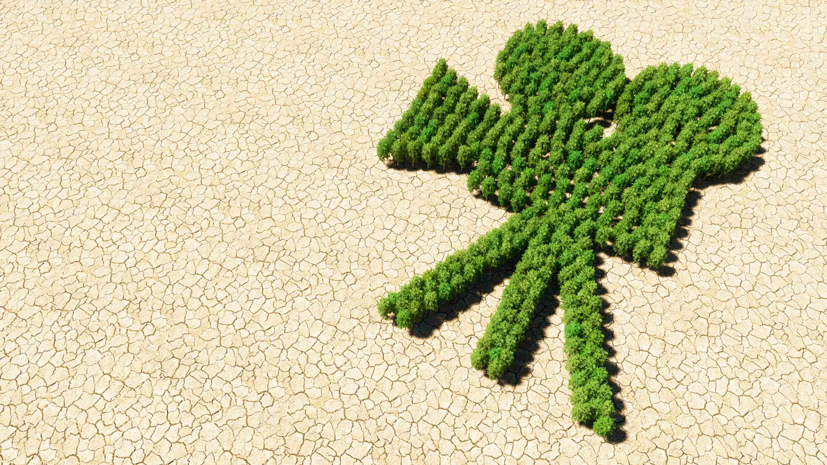 Inspírate y cambia el mundo desde la crianza