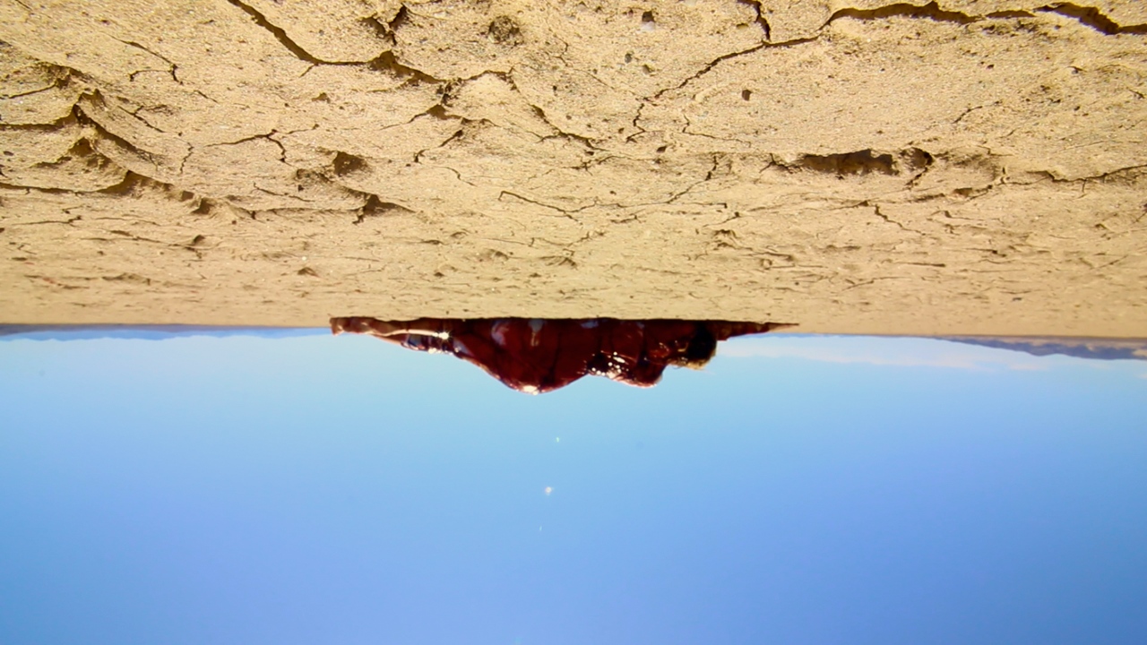 "Todos morimos en la oscuridad" (The Outwaters) tendrá su premier latinoamericana en México en la edición XXII de Macabro