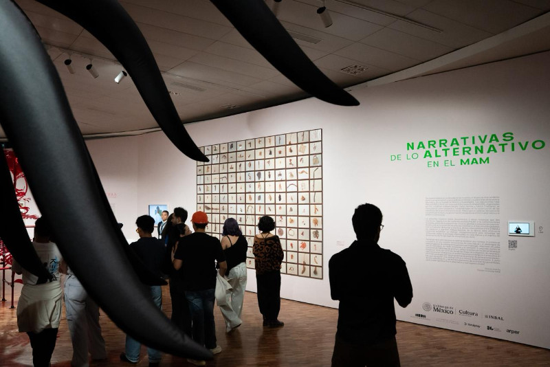 El MAM revisita dos exposiciones de los años noventa y sus preocupaciones sobre el medio ambiente